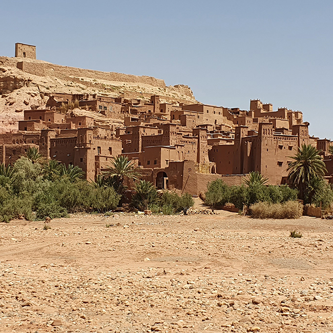 maison-oralite-abh-news